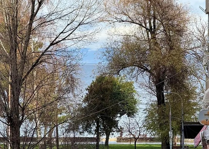 Baci * Поградец